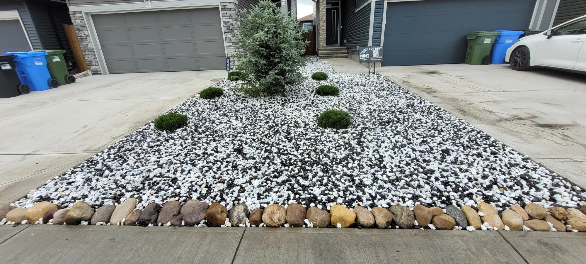 Front-yard landscaping in Calgary with white decorative rock, river stones and shaped evergreen shrubs.
