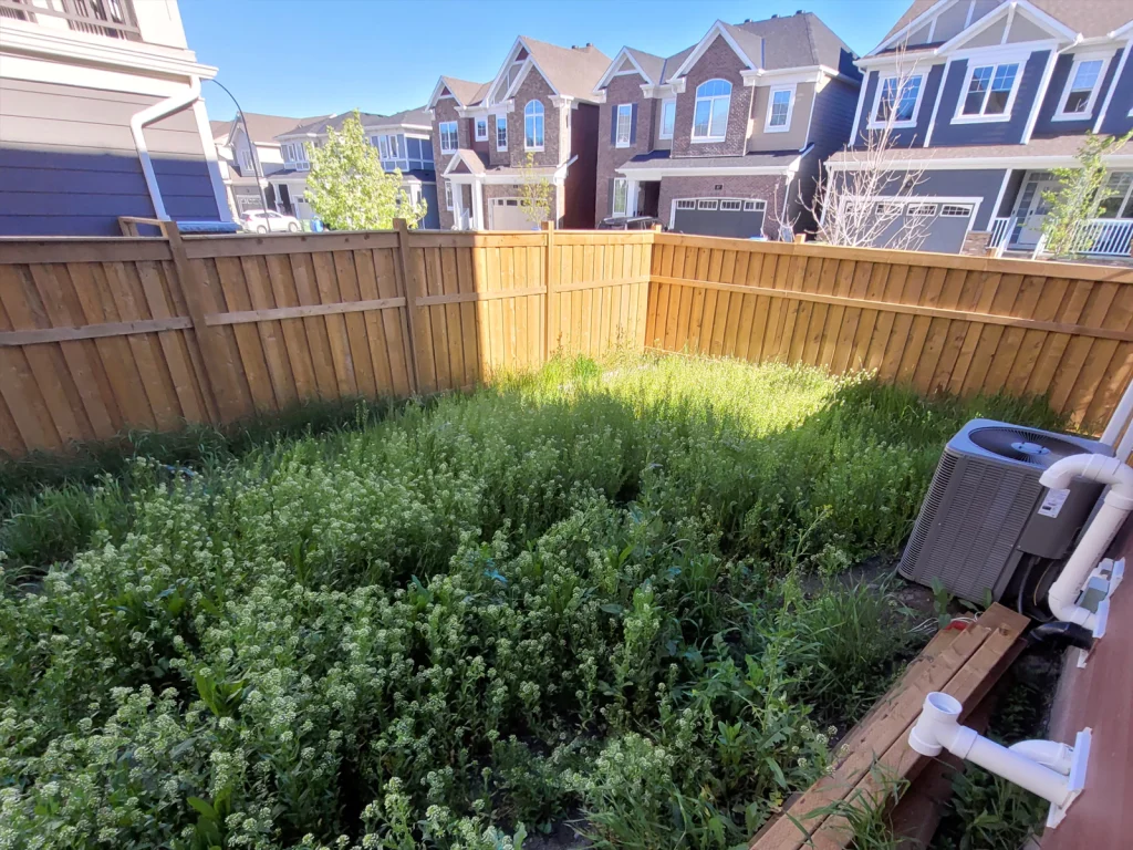 pet fence Calgary Alberta by Falcon Contracting INC