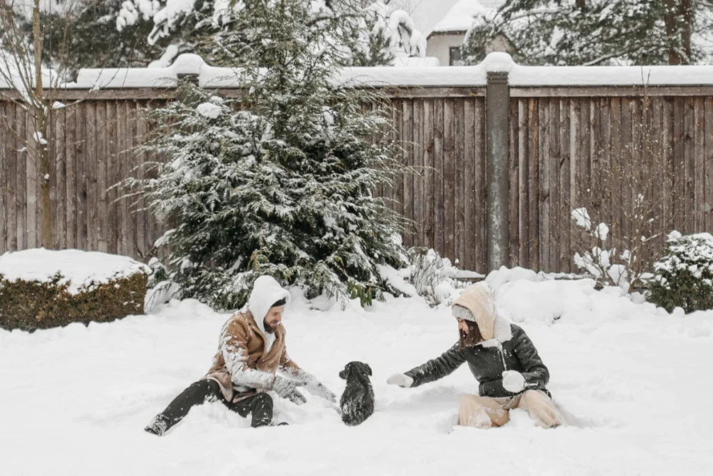 Ideal Pet Fence in Alberta Calgary snow